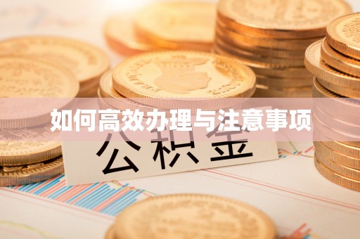 香港如何高效办理与注意事项