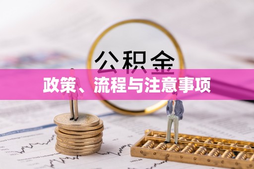 香港政策、流程与注意事项
