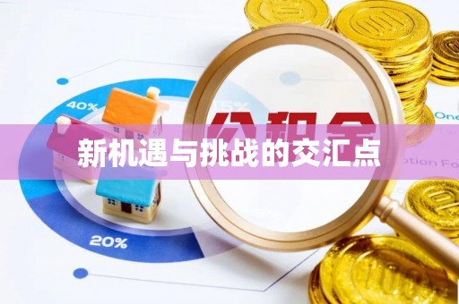 香港新机遇与挑战的交汇点