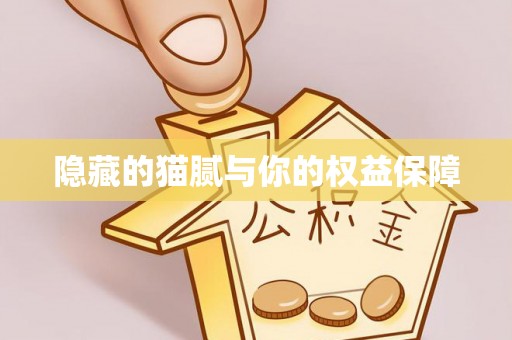 香港隐藏的猫腻与你的权益保障