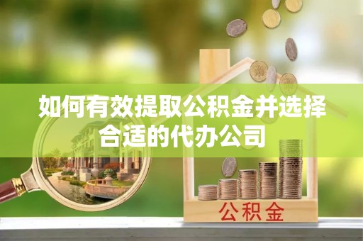 香港如何有效提取公积金并选择合适的代办公司