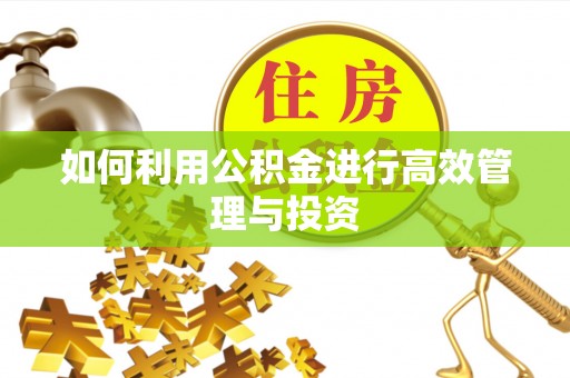 香港如何利用公积金进行高效管理与投资