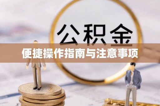 香港便捷操作指南与注意事项