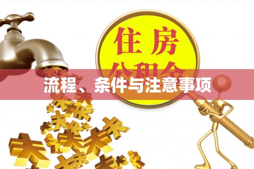 香港流程、条件与注意事项